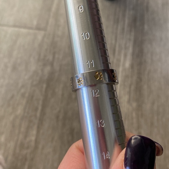 Paw Print Pet Memorial Ring in Stainless Steel (unisex) - Picture 2 of 3